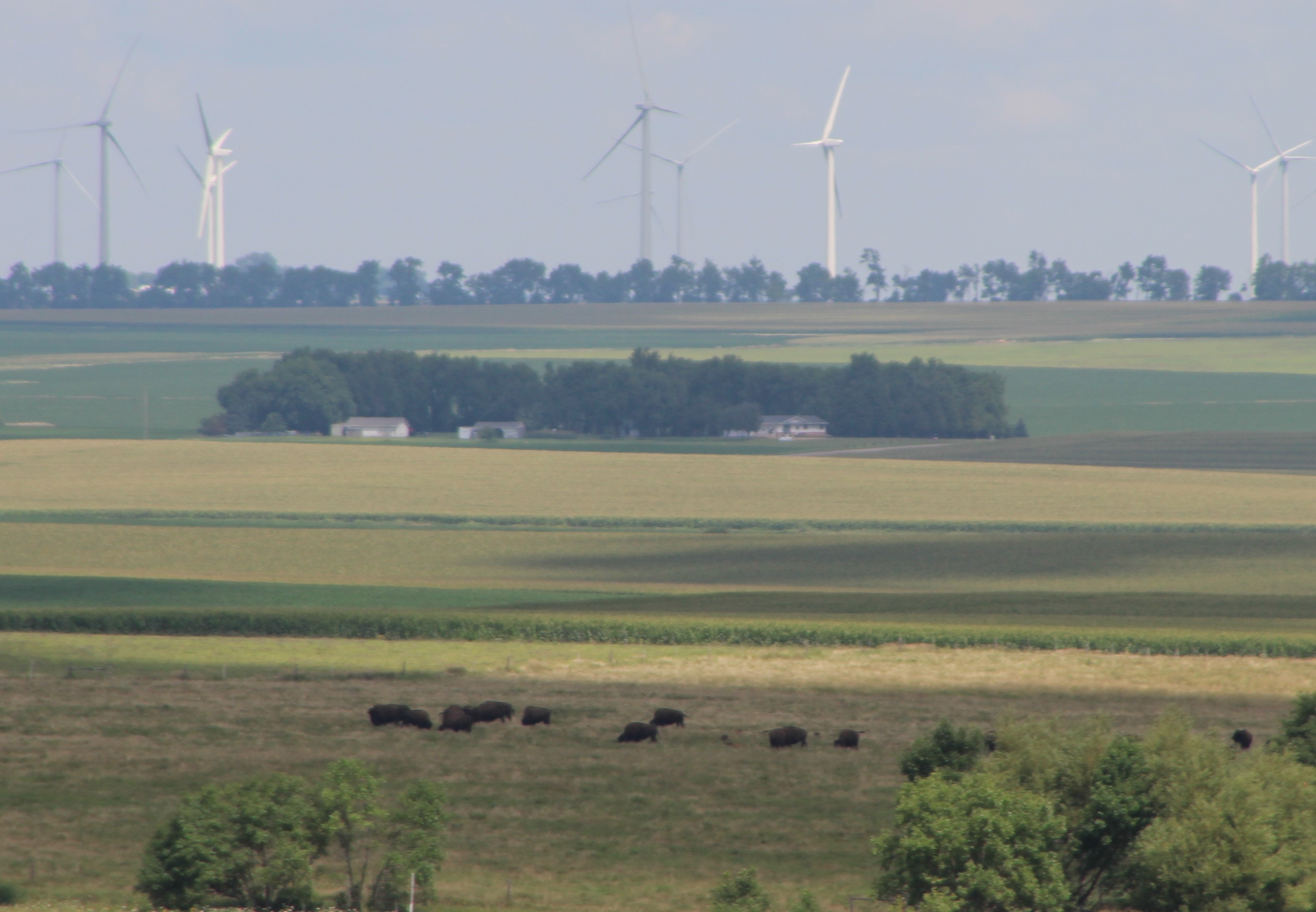 Minnesota Senate takes up bill requiring 100% clean energy by 2040 - Vimarsana News